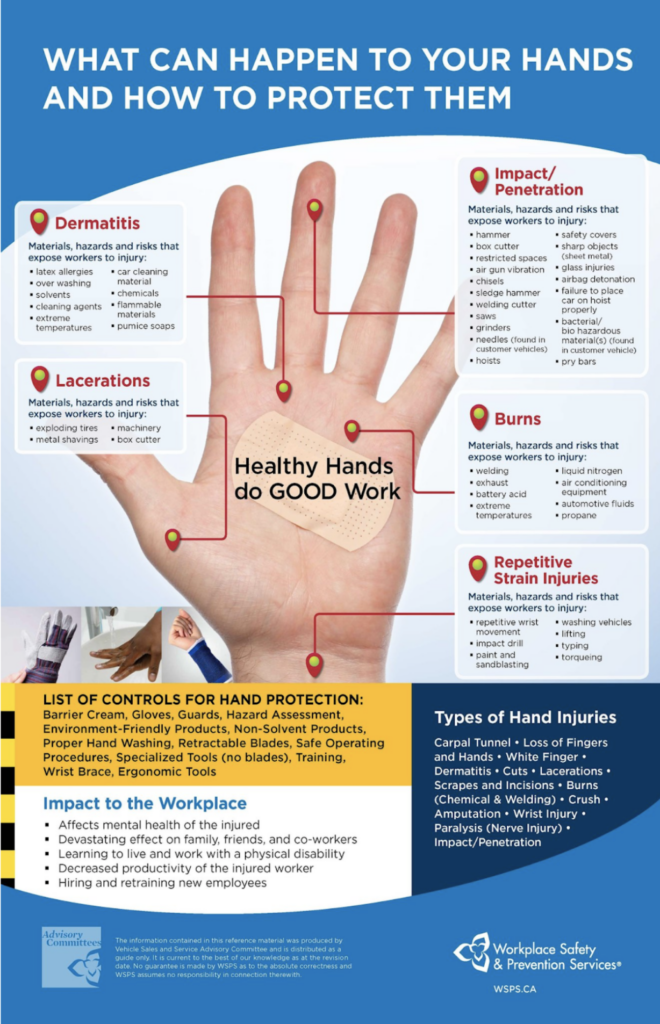 Infographic titled 'What Can Happen to Your Hands and How to Protect Them' shows five types of hand risks: dermatitis, lacerations, burns, repetitive strain injuries, and impact/penetration. It highlights hazards, risks, and preventive measures, along with a list of controls for hand protection and the impact on the workplace. Access the PDF for more details.